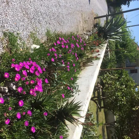 Villa Dalyanjewel Luxury 6 Bedroom Private Pool With Free Wifi And Aircon Dalyan